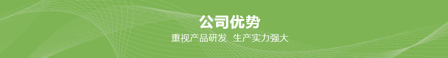 敏捷公司优势